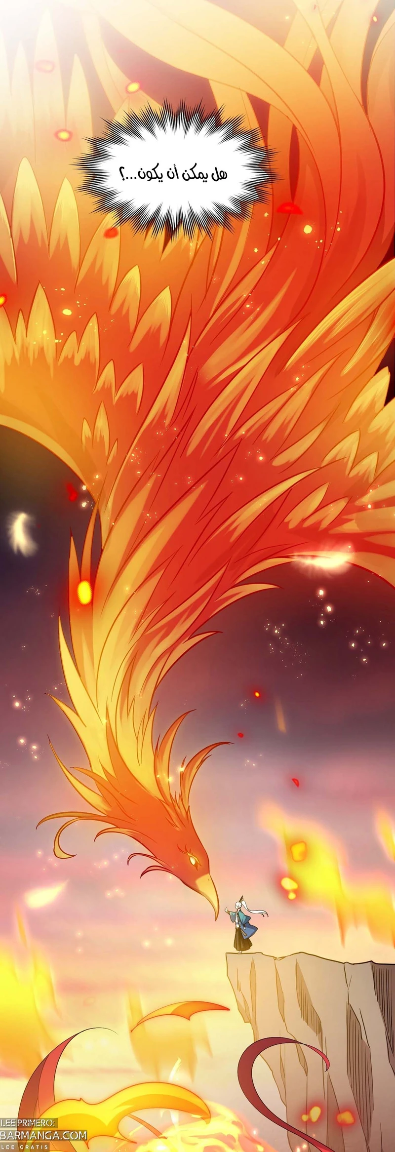 Chapter Image 29